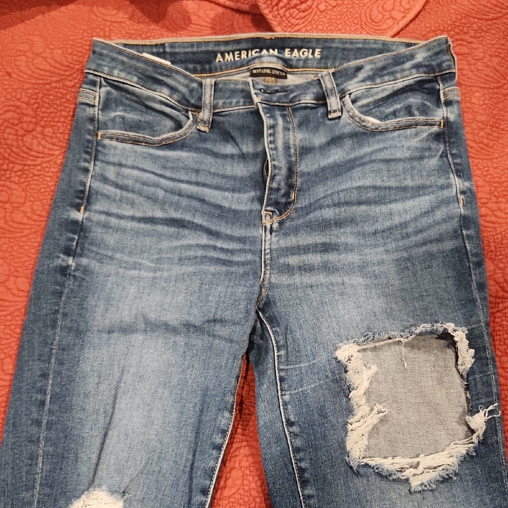 American Eagle Outfitters Blue Skinny Distressed Jeans